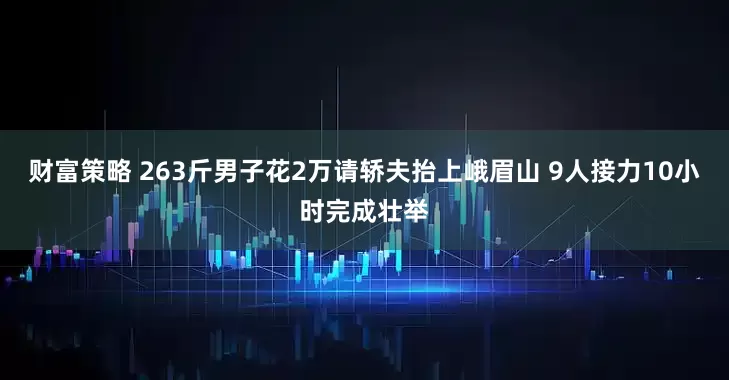 财富策略 263斤男子花2万请轿夫抬上峨眉山 9人接力10小时完成壮举